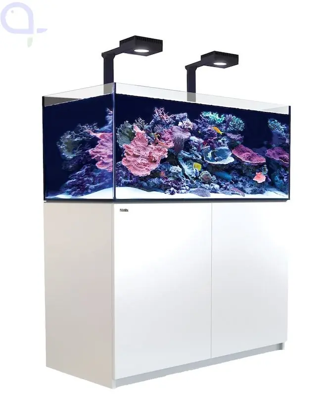 Red Sea Reefer 425 G3+ Deluxe weiß - 2 x ReefLed 115 Beliebt