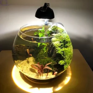 Preis Gesenkt Kugelaquarium 13,5 Liter