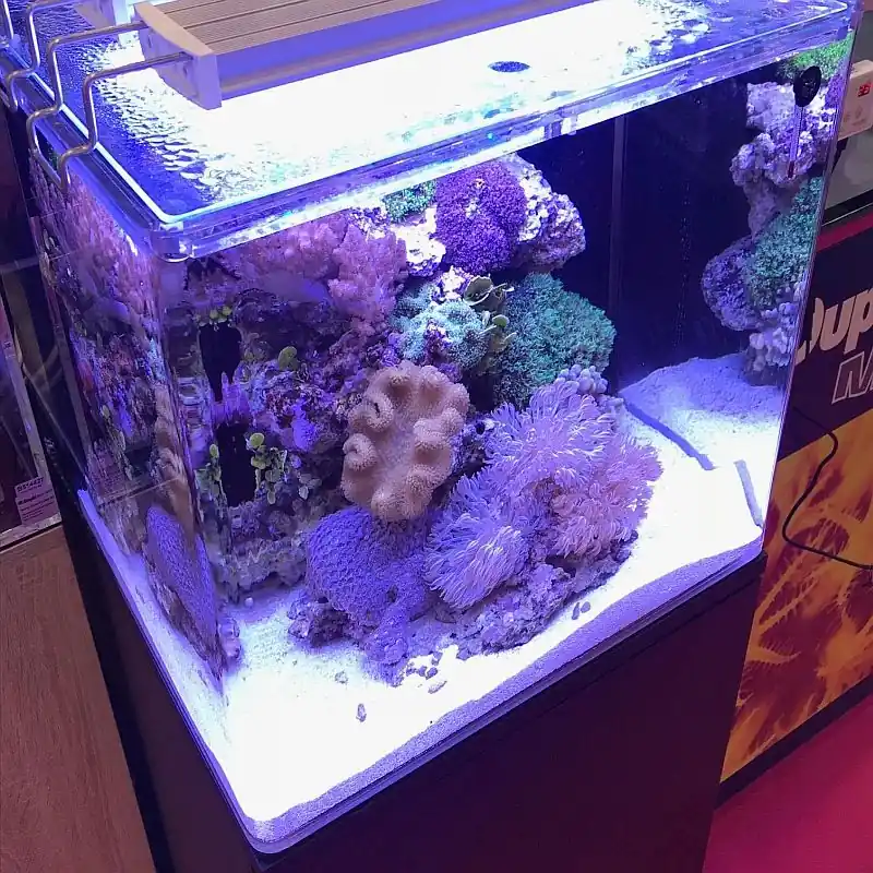 Sonderaktion Dupla Marin Ocean Cube Set 80
