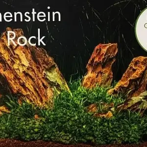 Drachenstein Ohko Rock Set für 60 L Aquarium Beliebt