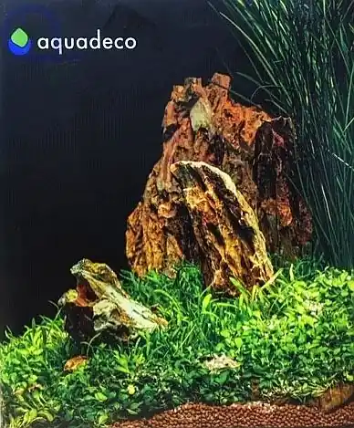 Finale Aktion Drachenstein Ohko Rock Set für 80 L Aquarium