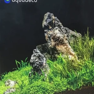 Seiryu Steine Set - Minilandschaft für 80 L Aquarium Direkt Vom Hersteller