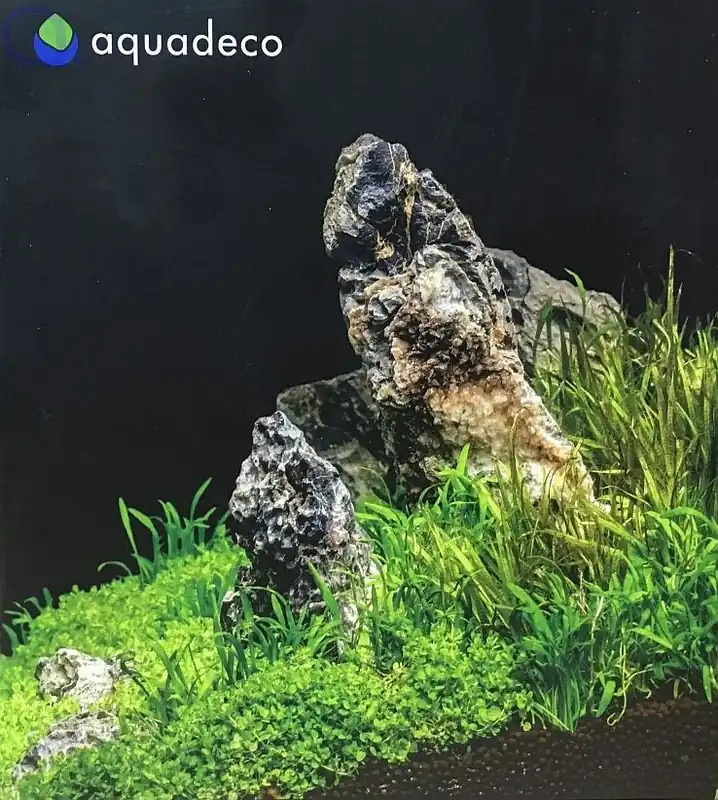 Seiryu Steine Set - Minilandschaft für 80 L Aquarium Direkt Vom Hersteller