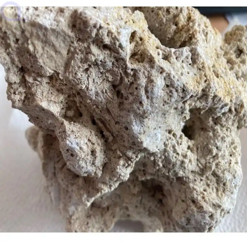 AquaDecor (Save the) Reef Rock - 1 St Top-Seller