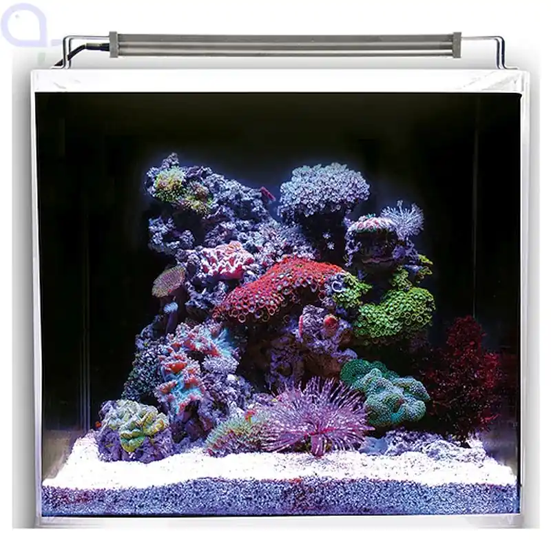 Jetzt Bestellen Dupla Marin Ocean Cube 50 Set