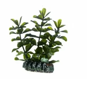 Solange Der Vorrat Reicht Hobby Bacopa, 7 cm