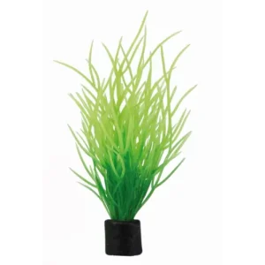 Beliebt Hobby Lilaeopsis mini Kunstpflanze