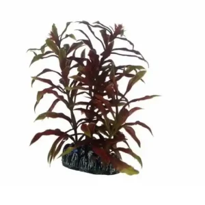 Sofort Bestellen Hobby Nesaea, 13 cm