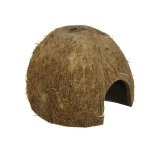 JBL Cocos Cava 1/2 M Neue Kollektion