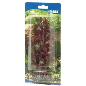 Hobby Rotala, 16 cm Sofort Bestellen