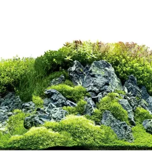 Online Kaufen Hobby Fotorückwandzuschnitt Scapers Hill/Scapers Forest, 60 cm x 30 cm