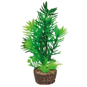 Hobby Flora Stone 1 Knallerangebot