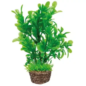 Hobby Flora Stone 3 Sonderangebot