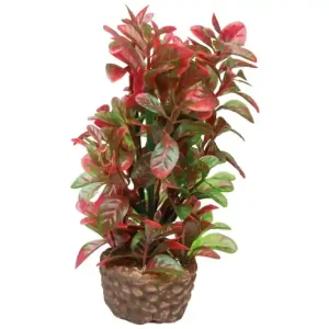 Hobby Flora Stone 4 Jetzt Bestellen