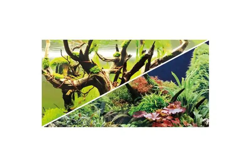 Letzte Chance Hobby Rückwandfolie Green Secret/Wood Island, 60 cm x 30 cm