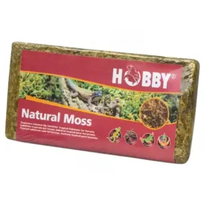 Hobby Natural Moss 100 g = ca. 4,5 Liter Sofort Bestellen