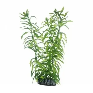 Sale Hobby Heteranthera, 25 cm