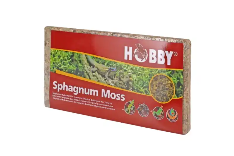 Preis Gesenkt Hobby Sphagnum Moss 100 g