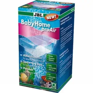 Knallerangebot JBL Babyhome pro Air, Ablaichkasten