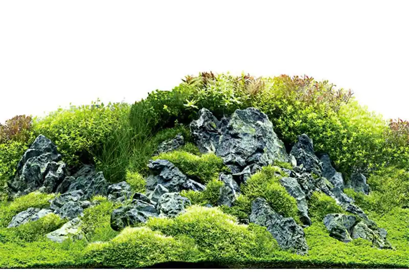 Nur Heute Hobby Fotorückwandzuschnitt Scapers Hill/Scapers Forest, 100 cm x 50 cm