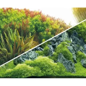 Ausverkauf Hobby Rückwandfolie Planted River/Green Rocks, 100 cm x 50 cm