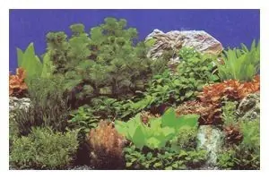 Beliebt Hobby Fotorückwandzuschnitt Pflanzen 8/Marin Blue, 50 x 120 cm