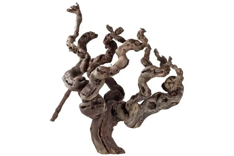 Hobby Weinrebenwurzel, ca. 30 cm Letzte Chance