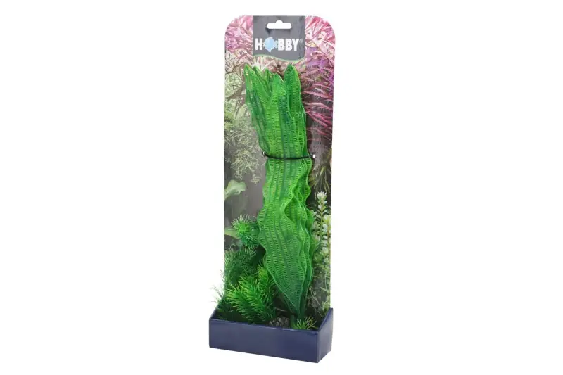 Hobby Plantasy Set 1, Kunstpflanzenset Direktkauf