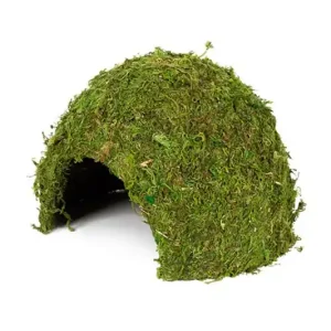 Nur Für Kurze Zeit Hobby Jungle Cave 3