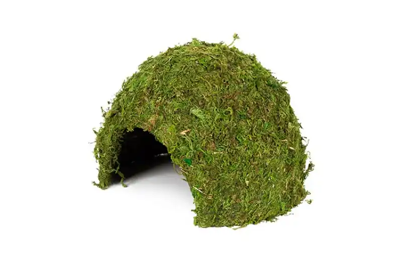 Nur Für Kurze Zeit Hobby Jungle Cave 3