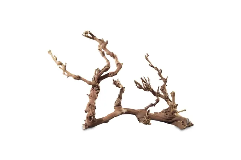 Bestpreis Hobby Weinrebenwurzel Jumbo, ca. 50-70 cm