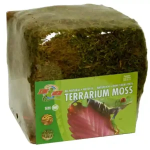 Neu Zoomed Terrarium Moss Minibale, Moos, 5,62 L