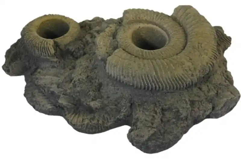 Top-Angebot Variogart Pflanzhilfe 12 Fossilien 1430