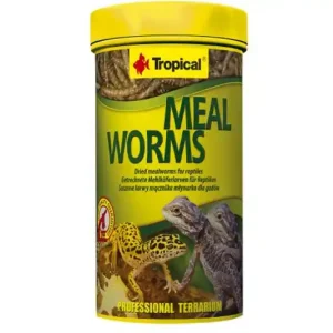 Tropical Meal Worms / Mehlwürmer, 250 ml Nur Heute
