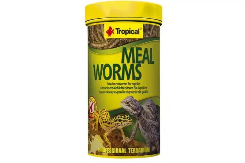 Tropical Meal Worms / Mehlwürmer, 250 ml Nur Heute