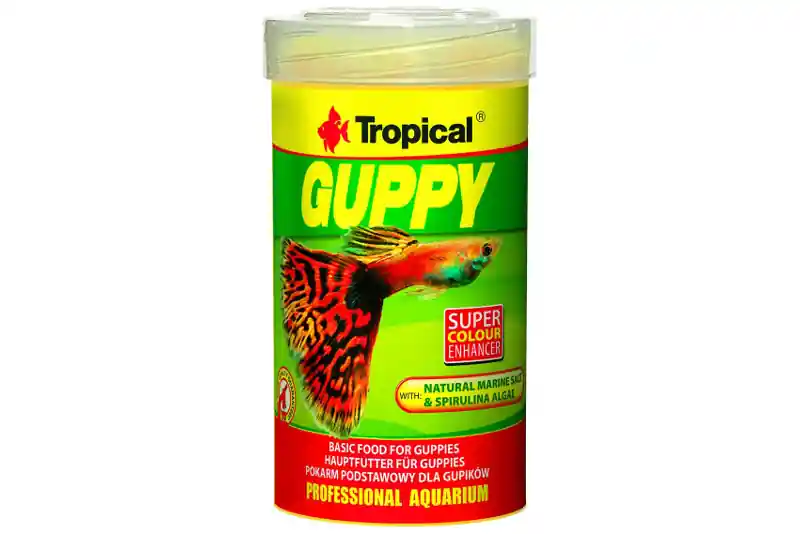 Tropical Guppy, 250 ml Versand Am Gleichen Tag