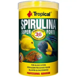 Tropical Spirulina Super Forte (36 %), 250 ml Nur Für Kurze Zeit