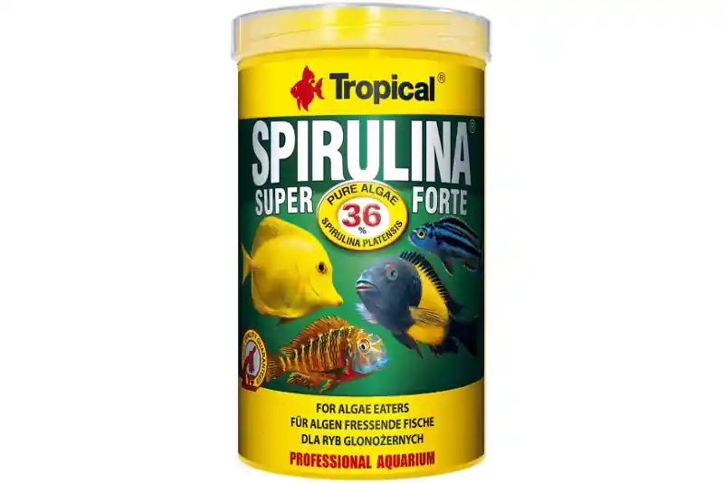 Tropical Spirulina Super Forte (36 %), 250 ml Nur Für Kurze Zeit