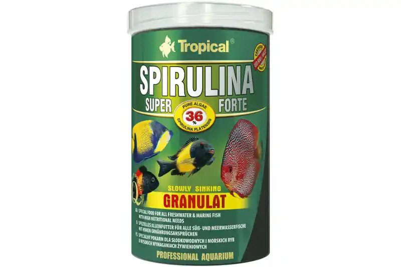 Must-Have Tropical Spirulina Super Forte 36 % Granulat, 250 ml
