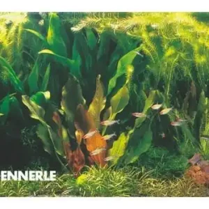 Sonderangebot Rio Xingu, 100 x 40 x 50 cm, Aquarienpflanzen-Set, Pflanzensortiment