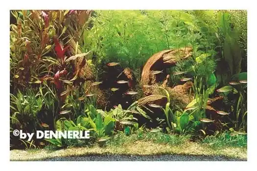 Abverkauf Rotmäulchen-Bucht, 130 x 50 x 60 cm, Aquarienpflanzen-Set, Pflanzensortiment