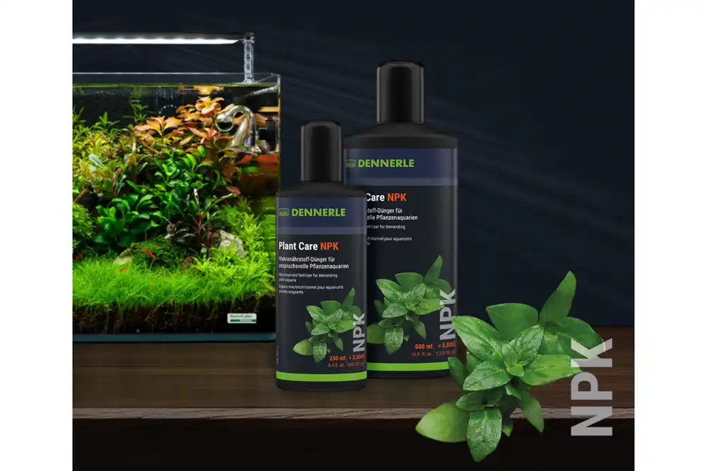 Günstig Dennerle Plant Care NPK, 500 ml
