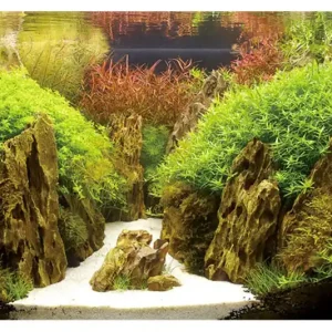 Nur Für Kurze Zeit Hobby Fotorückwandzuschnitt Canyon/Woodland, 200 cm x 60 cm