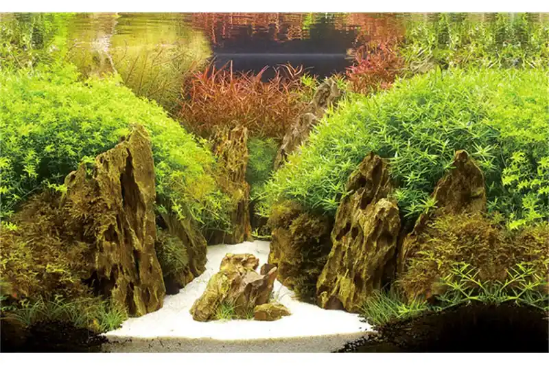 Nur Für Kurze Zeit Hobby Fotorückwandzuschnitt Canyon/Woodland, 200 cm x 60 cm