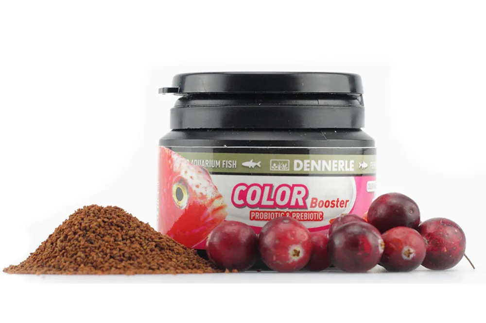 Dennerle Color Booster Dose 100 ml Schnäppchen