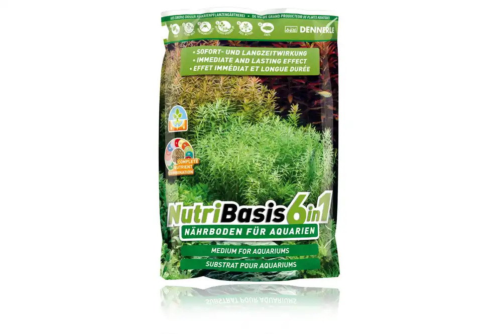Dennerle NutriBasis 6in1, 2,4 kg Abverkauf