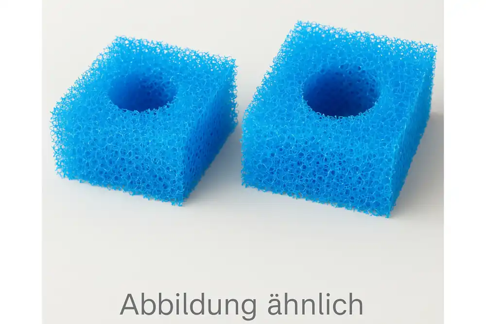 Nur Für Kurze Zeit Eheim Grobfilter für 1060/1260/1262/3160, 2 Stück