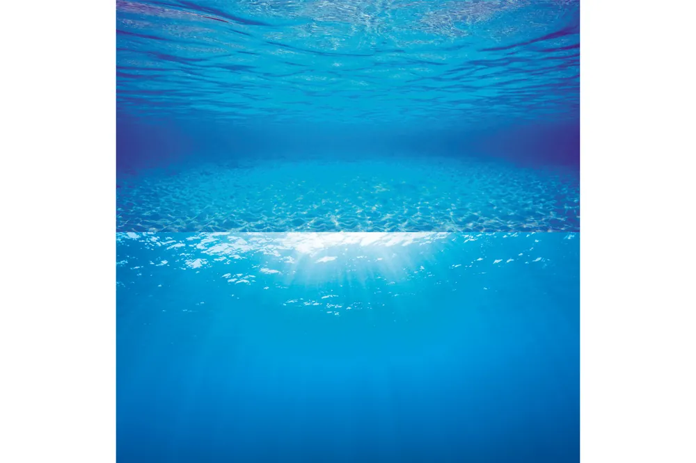 Direktkauf Juwel Poster 2 L, Rückwandposter, 100 x 50 cm