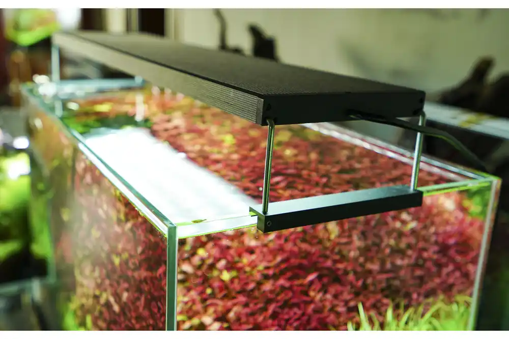 Must-Have Chihiros WRGB II-Serie, WRGB2 90 cm (100 W)