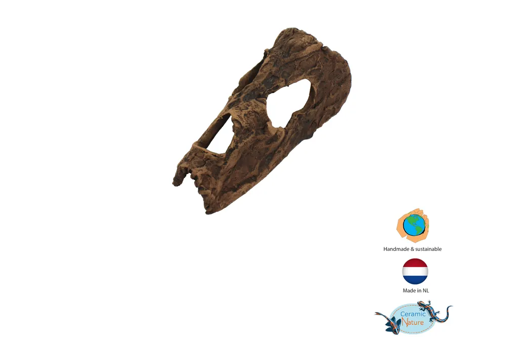Saisonangebot CeramicNature Horse Head XXS, ca. 14 × 8 × 5 cm